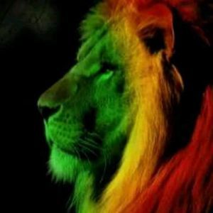 Meet your Posher, Carmen